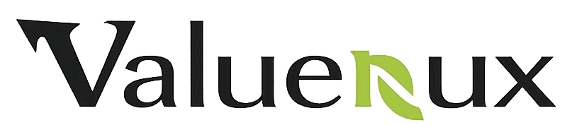 ValueNux logo
